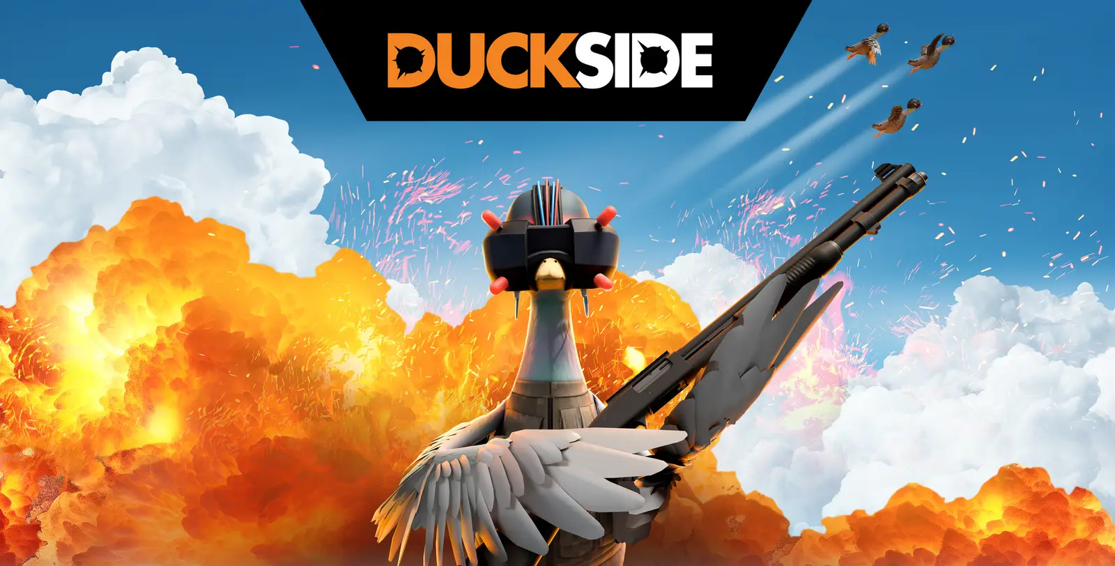 Duckside Server Hosting