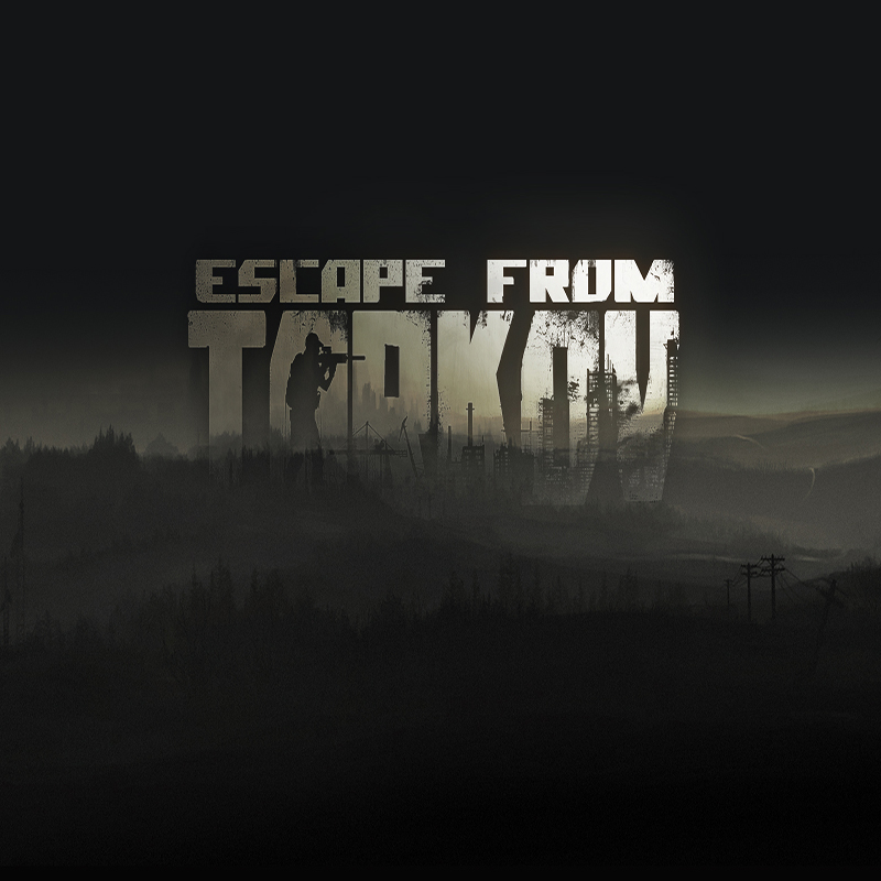 Escape from Tarkov Server Hosting