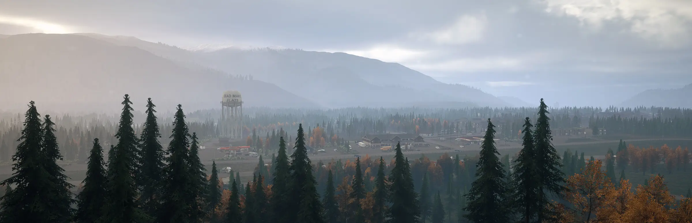 Hosting server Dead Matter: una vasta pineta si estende fino a una piccola città con una torre dell’acqua sotto un cielo grigio