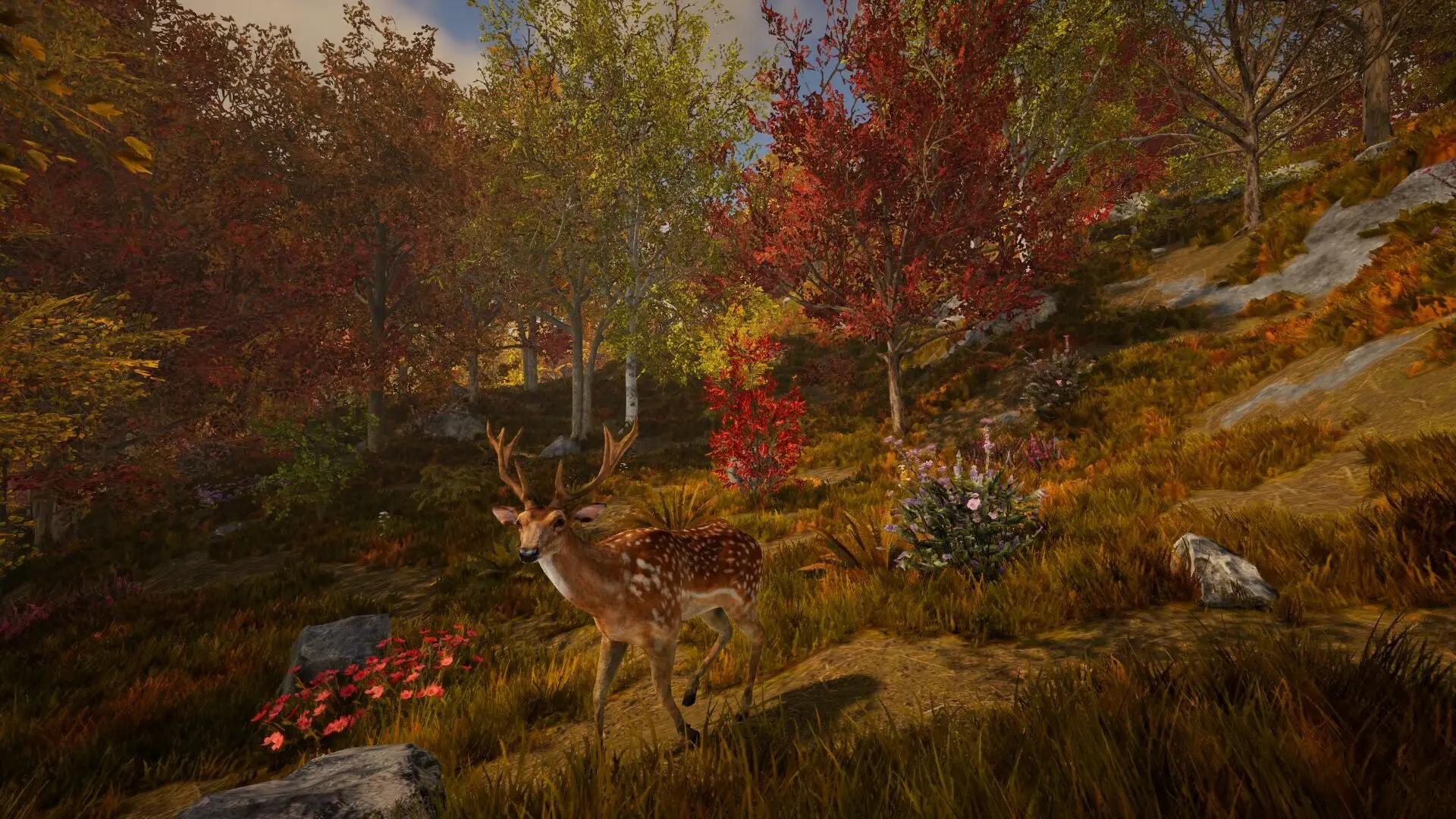 Hosting server Rising World: cervi al pascolo in un bosco autunnale pieno di alberi rossi e arancioni