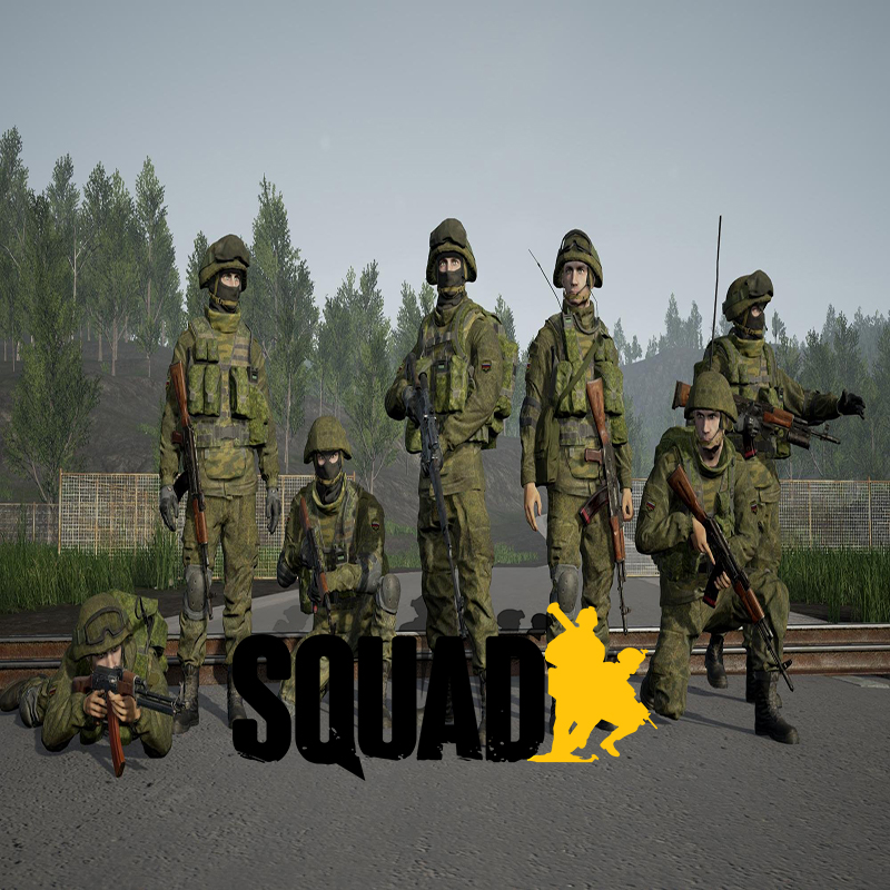 Squad Server Hosting